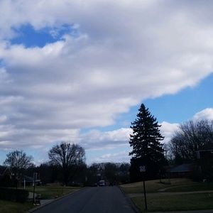 Meet your Posher, Bridget